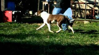 De Paco Xz From Here To Eternity, Chapo