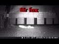 Trail cam gets Mr Fox &amp; Friends