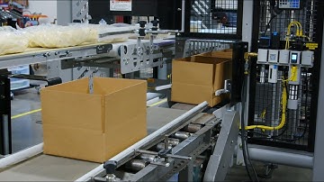 Robotic Packing RTL for Compressed Bags of Frozen Potatoes by Pearson Packaging Systems