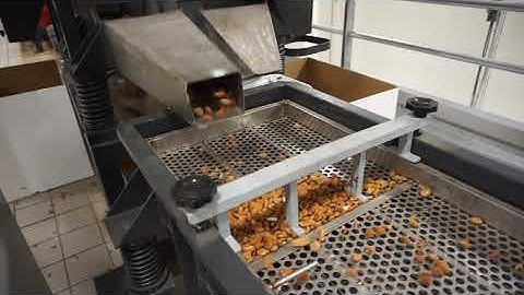 Nuttech - Almond cracking / shelling machine for hard and semi hand almonds