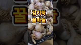 꿀  마늘에  이걸 꼭  넣으세요