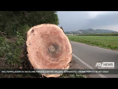 MALTEMPO, QUERCIA SECOLARE FINISCE CONTRO UN'AUTO IN TRANSITO, 45ENNE FERITO | 19/07/2023