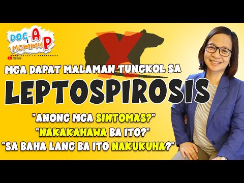 Video: Ang Mga Kaso Ng Leptospirosis Ay Nagaganap Sa New York At Phoenix: Ano Ang Dapat Mong Malaman