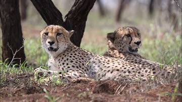 DME Module 4/5 Assignment