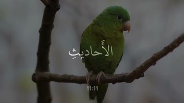 رَبِّ قَدْ آتَيْتَنِي مِنَ الْمُلْكِ وَعَلَّمْتَنِي - محمود علي البنا - سورة يوسف🖤🎧