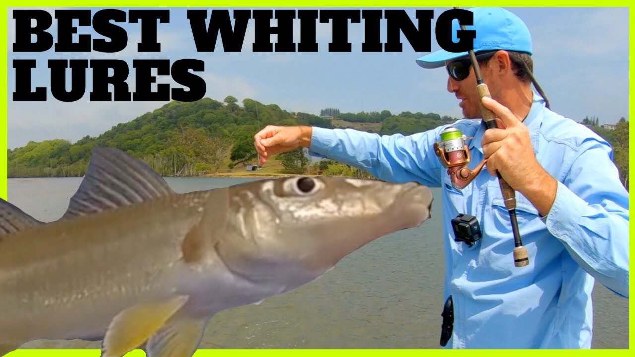 BEST TOPWATER WHITING LURES 