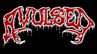 Watch Avulsed Morgue Defilement video