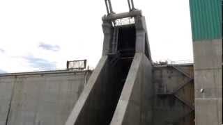 Wanapum Dam Fish Bypass in Action