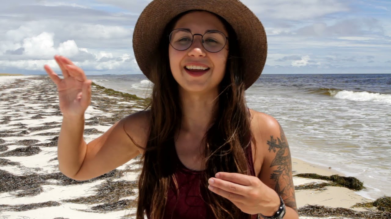 Beach ecology of St. George Island