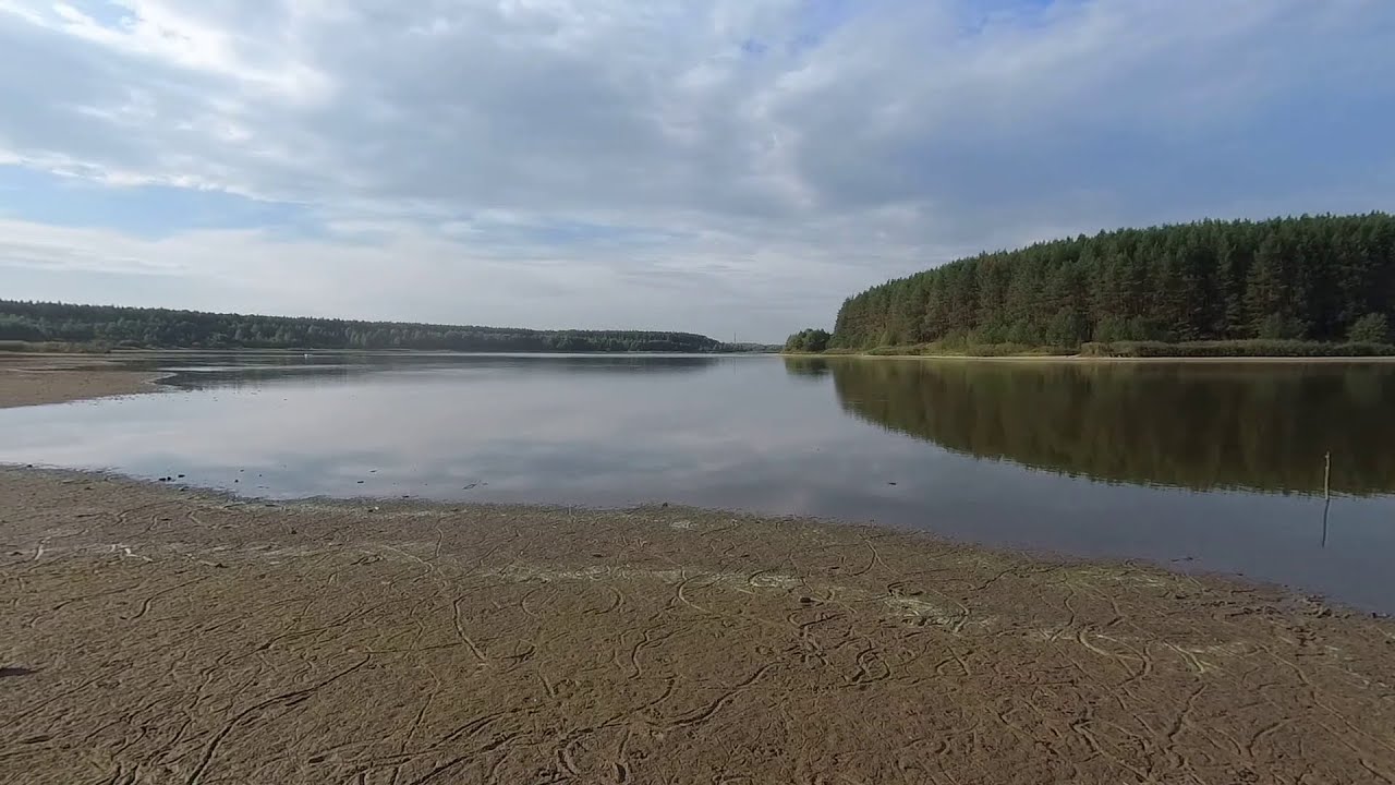 Я на пруд, там находки прут. - YouTube