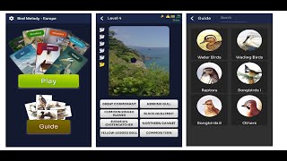 Bird Melody screenshot 5