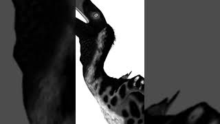 EDIT#MAMOT$