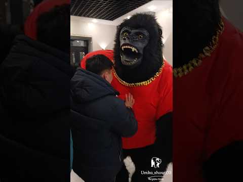 Пацанский движ, друг переоделся в Гориллу 🤩.