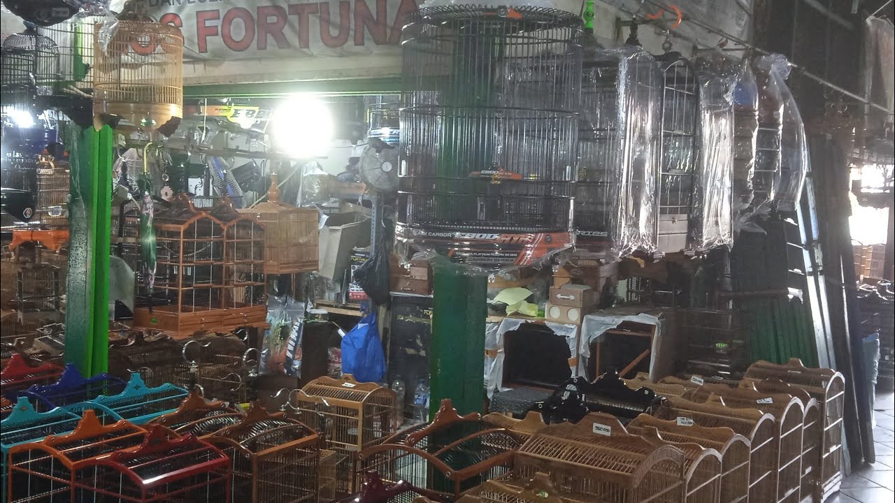 RZK hartono sedang live sekarang!