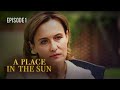 A PLACE IN THE SUN. Episode 1. Melodrama about Love. Ukrainian Movies