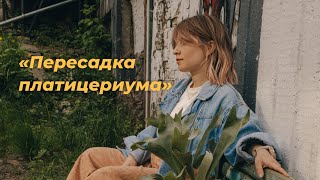 видео: Пересадка платицериума картинка: Пересадка платицериума