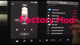 Calibrate Windows in Tesla Model 3
