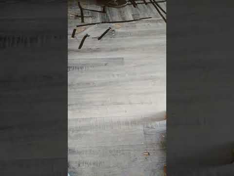 Maal Hojjetta Maal Barbaacja Iddoo Kana Dhuftee 