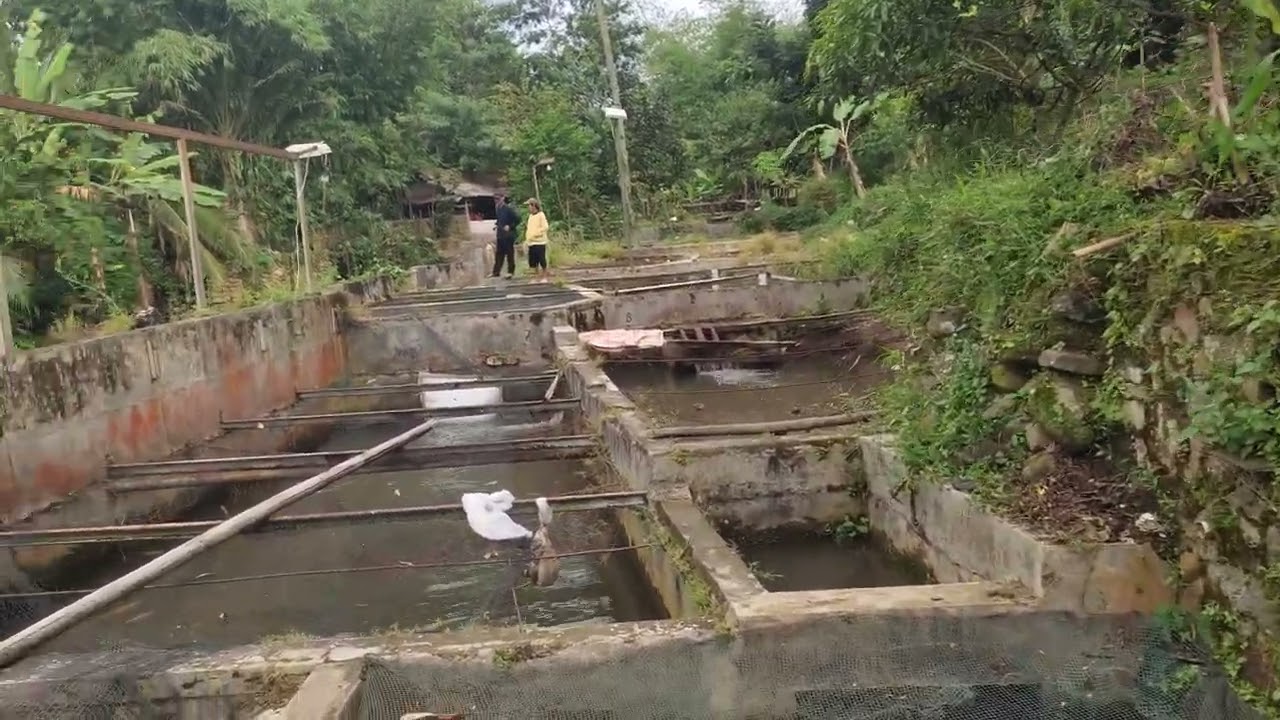 Jual rumah ples kolam ikan luas 800 meter ² surat SHM harga 650 jt#rumahmurahdibogor 