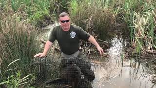 Celebrity BEAVER CONTROL Net Worth
