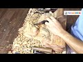TikTok China抖音 【万能的木头】用木头制作森林之王，简直太不可思议了，木快来围观吧。