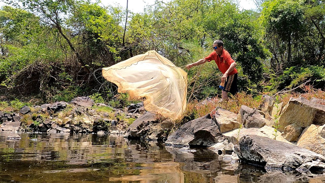 PACHINEITOR! PESCA DE BUTES O CHIMBOLOS CON ATARRAYA EN UN RÍO ...