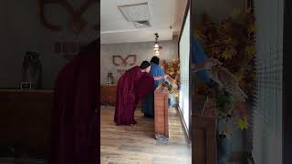 I love them sooo much 🦉 Information