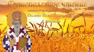 святитель Николай Сербский &quot;Десять Божиих заповедей&quot; 6 заповедь