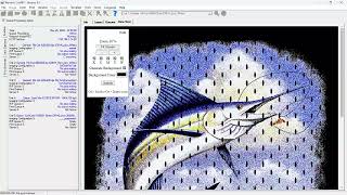Halftone Effects with SoftRIP
