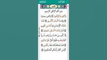 surah AtTin Mohamed Siddik Al Minshawi 95 I سورة التين