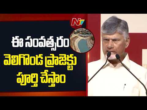 We will complete the Veligonda Project this Year Says CM Chandrababu | NTV Telugu - NTVTELUGU