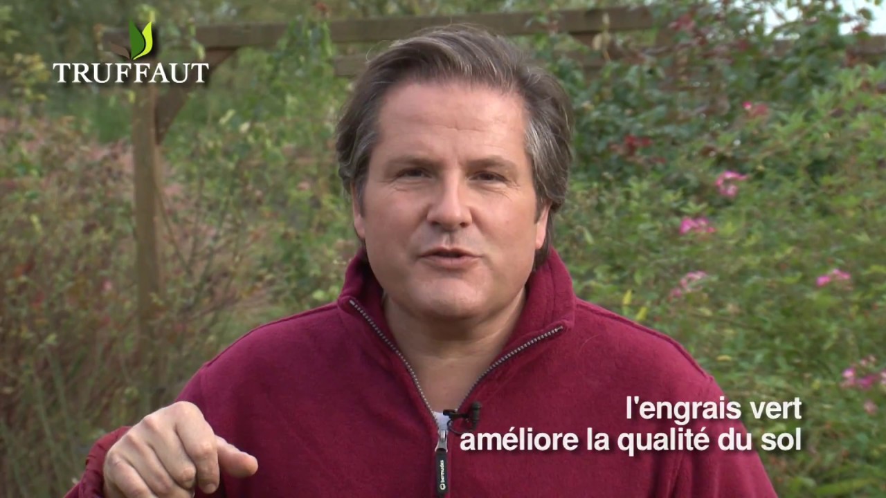 Semer un engrais vert au potager pour améliorer son sol Truffaut — free download