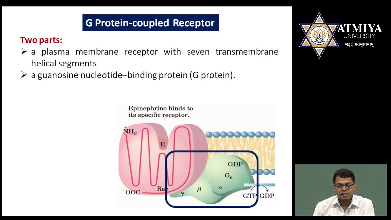 Types of Receptors - YouTube