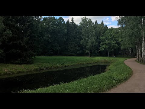 Video: Antidiluvianische Parks In Puschkin - Alternative Ansicht