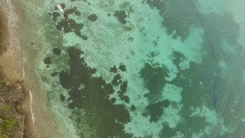 Seagrass meadows are key fishing habitat globally