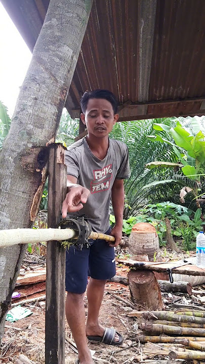 cara paling mudah ngerok tebu pakai alat ini #ngeroktebu #bakulestebu #sugarcane