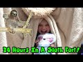 24 Hours In A SLOTH Blanket Fort!