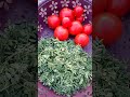 veggies from rooftop garden Red tomatoes 🍅🍅🍅 and green Chickpea leaves 🌿🌿🌿