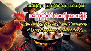 ( အကုသိုလ် အကျိုးပေးချိန်) #bagyisanaudiobook #bagyisan02 #myanmaraudiobook