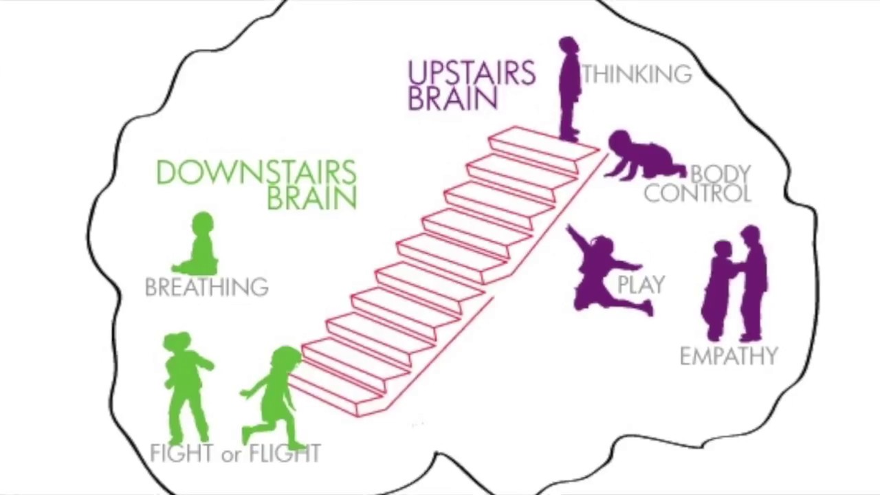 whole-brain-child-part-2-youtube