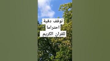القرآن الكريم الشيخ سعود الشريم #القرآن_الكريم #تلاوة_خاشعة