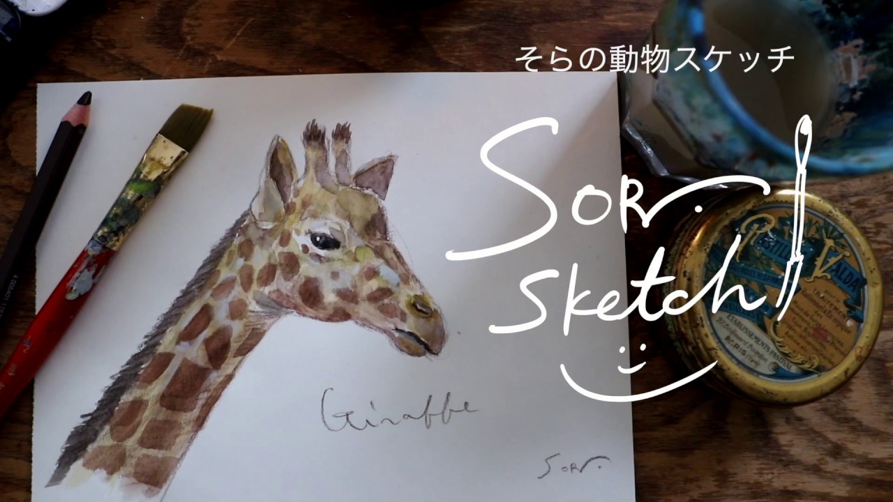 どうぶつスケッチ 三角4つで描く キリン 絵本作家そら 札幌市円山動物園 Youtube