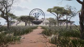 CINEMATIC ELEPHANT LOGO ANIMATION