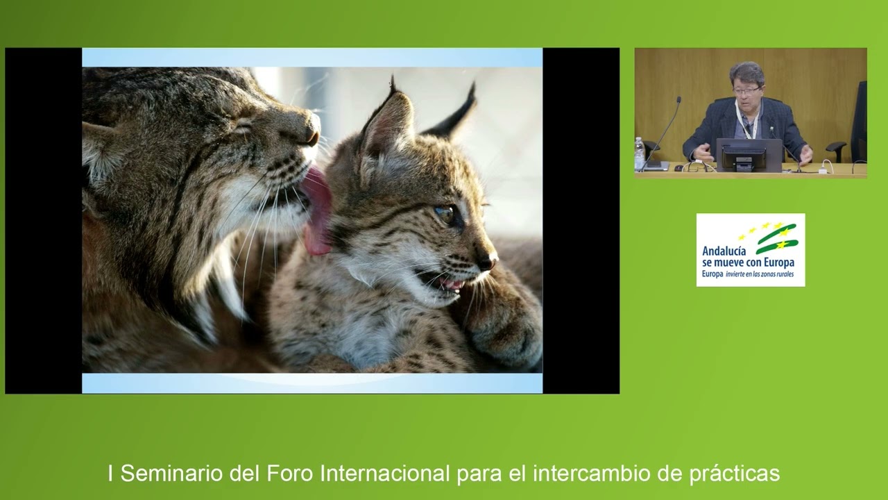 Presentación de experiencias demostrativas nacionales e internacionales