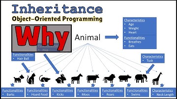 Why Inheritance is Important to Object Oriented Programming