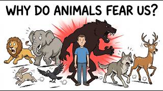 Why Are Animals So Afraid of Humans? The Super Predator Explained
