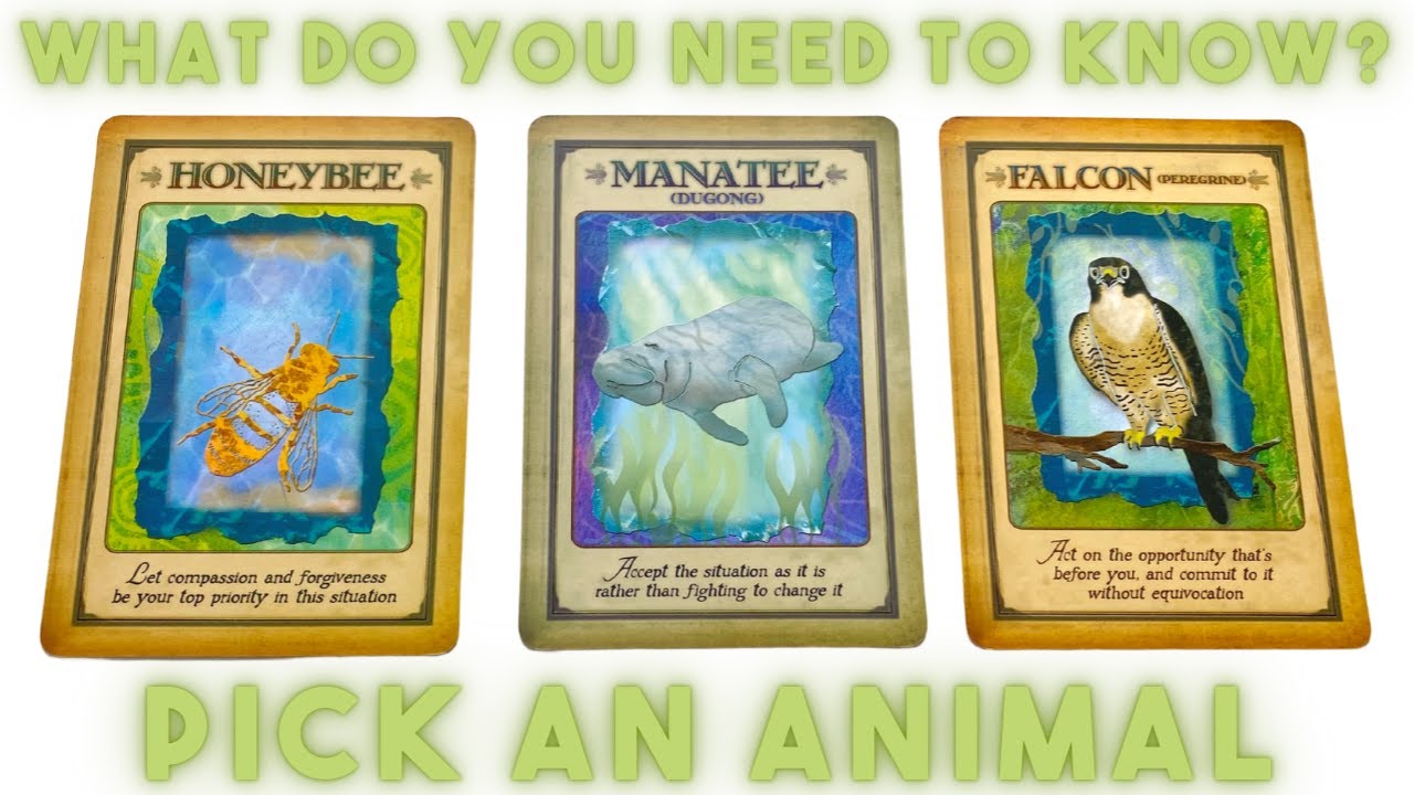 Pick An Animal 🐝 What Do You Need To Know RIGHT NOW? 🐝