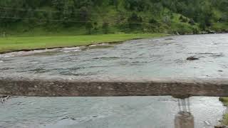 Nabogame Guadalupe y Calvo