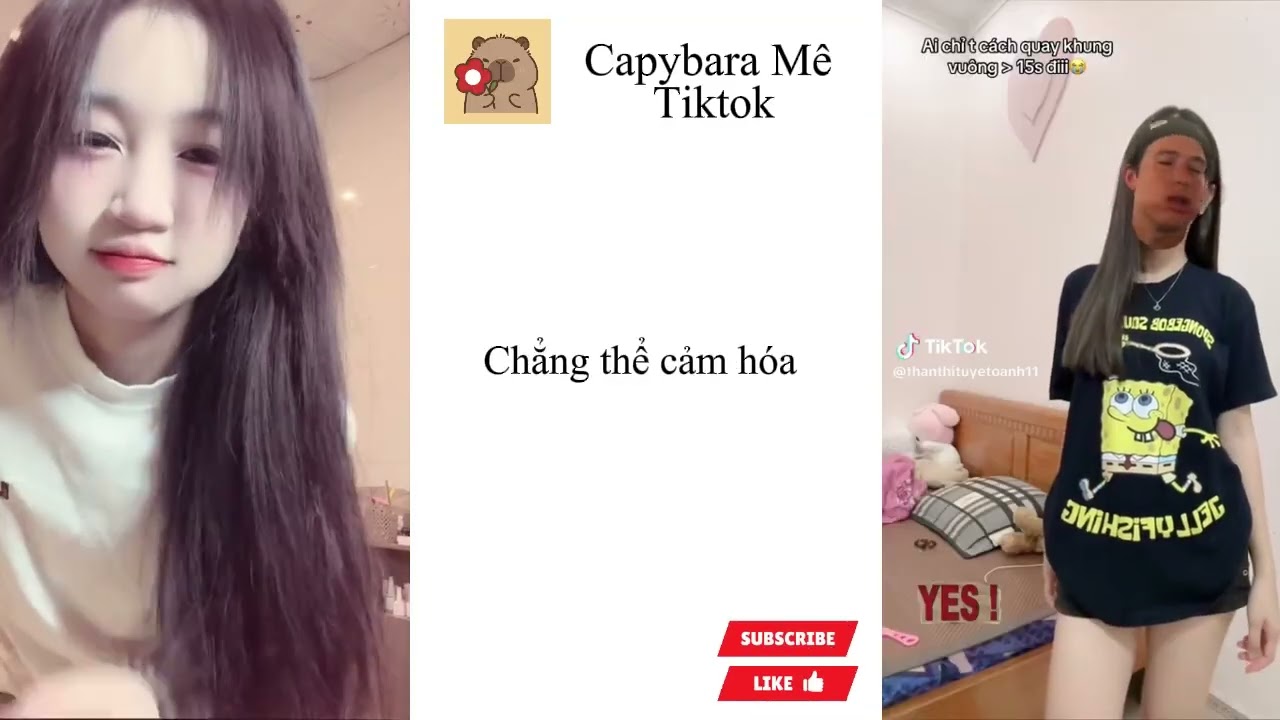 🍀Tổng Hợp Các Trend TikTok 1/2026🍀
