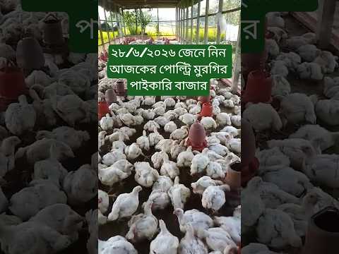 জেনে নিন আজকের পোল্ট্রি মুরগির পাইকারি বাজার #আজকের_মুরগির_বাজার #shots #shotsfeed #short